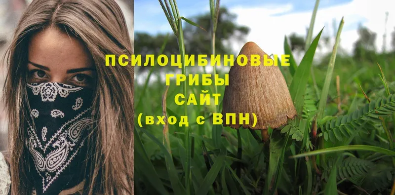 Галлюциногенные грибы Psilocybe  Радужный 